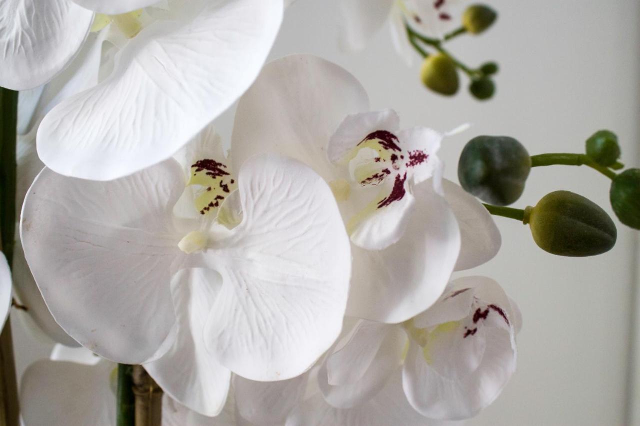 Apartamento White Orchid Pula Exterior foto